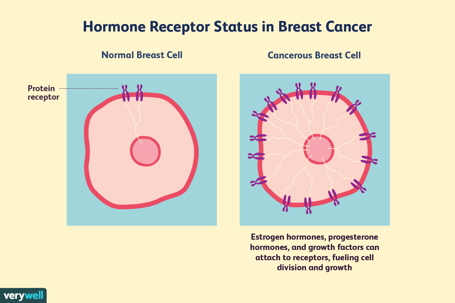 Hormone tests