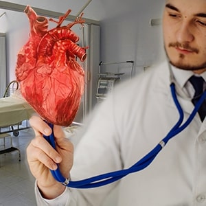  CARDIOLOGIST (HEART)