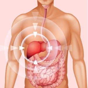  HEPATOLOGIST (LIVER)